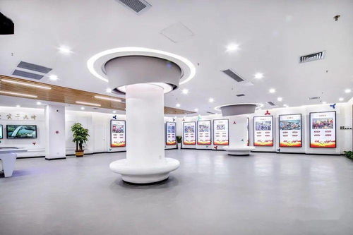 寶鷹精品 黨建與科技融合,打造紅色家園 深圳市龍崗區(qū)黨群服務(wù)中心