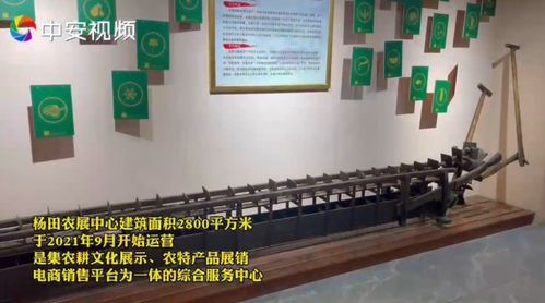 相約安徽 向春而行 帶您領(lǐng)略池州好風(fēng)光