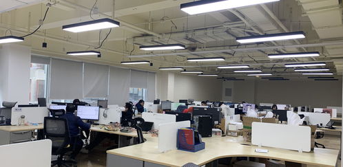 成都高新區(qū) 支持小微企業(yè)突出一個 實(shí) 字